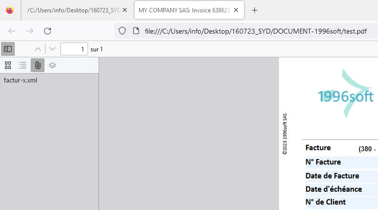 Format Factur-X PDF/A-3