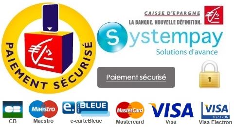 Secure Payment with systempay